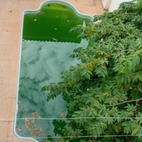 Casa abandonada preocupa moradores por mato alto e piscina verde