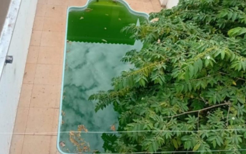 Casa abandonada preocupa moradores por mato alto e piscina verde