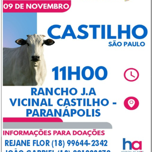 3º Leilão Direito de Viver em Castilho: Evento 100% em prol do Hospital de Amor de Barretos
