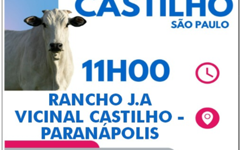 3º Leilão Direito de Viver em Castilho: Evento 100% em prol do Hospital de Amor de Barretos