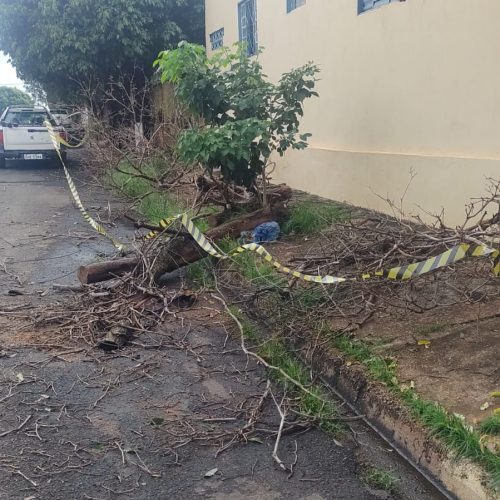 A equipe do Almoxarifado Municipal de Andradina trabalha desde o último domingo na recuperação dos danos provocados pela forte chuva que atingiu o município na sexta-feira, 20 de fevereiro. O temporal foi marcado por precipitação persistente e acumulados elevados em diversas regiões da cidade, provocando pontos de alagamento tanto na área urbana quanto na zona rural.

De acordo com relatos de moradores e dados meteorológicos, a chuva caiu de forma contínua após o final da tarde de sexta-feira, influenciada por uma massa de ar instável que atuou sobre o Estado de São Paulo, cenário típico do verão, com a passagem de sistemas frontais que favorecem temporais intensos. Ruas ficaram parcialmente interditadas, houve enxurradas em vários bairros da cidade e estradas rurais registraram trechos com erosão e acúmulo de lama.

A instabilidade continuou no domingo, 22 de fevereiro, quando novas pancadas de chuva foram registradas no início da noite. Em grande parte da cidade houve interrupção no fornecimento de energia elétrica, aumentando os transtornos para moradores e comerciantes.

Segundo o subsecretário do Serviço Público, Paulo Sales, desde as chuvas, servidores do Almoxarifado atuam na desobstrução de vias, retirada de entulhos e recuperação emergencial de trechos danificados. Máquinas e caminhões foram mobilizados para restabelecer as condições de tráfego e garantir segurança à população, especialmente em áreas mais afetadas.

Previsão ao longo da semana
A previsão do tempo para o período de 23 a 28 de fevereiro aponta diminuição gradual das chuvas em Andradina. Para segunda-feira (23), são esperados 17,5 milímetros, com tempo instável e chuva contínua. Na terça-feira (24), a estimativa é de 18,4 milímetros, com pancadas ao longo do dia.

Na quarta-feira (25), o volume previsto cai para 1,1 milímetro, com chuvas esparsas. Já na quinta-feira (26), a previsão é de apenas 0,8 milímetro, com chuva leve e isolada. Para sexta-feira (27) e sábado (28), não há previsão de chuva, com tempo firme predominando.

O total estimado para a semana é de 38 milímetros. Com a tendência de melhora nas condições climáticas, a expectativa da administração municipal é avançar nos serviços de recuperação e normalizar gradualmente os pontos afetados pelas chuvas recentes.