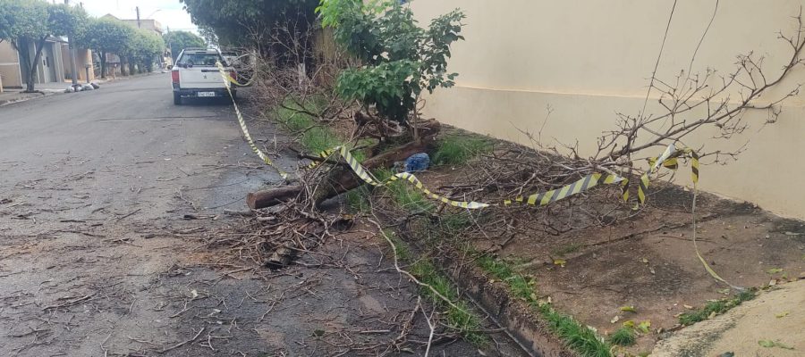 A equipe do Almoxarifado Municipal de Andradina trabalha desde o último domingo na recuperação dos danos provocados pela forte chuva que atingiu o município na sexta-feira, 20 de fevereiro. O temporal foi marcado por precipitação persistente e acumulados elevados em diversas regiões da cidade, provocando pontos de alagamento tanto na área urbana quanto na zona rural.

De acordo com relatos de moradores e dados meteorológicos, a chuva caiu de forma contínua após o final da tarde de sexta-feira, influenciada por uma massa de ar instável que atuou sobre o Estado de São Paulo, cenário típico do verão, com a passagem de sistemas frontais que favorecem temporais intensos. Ruas ficaram parcialmente interditadas, houve enxurradas em vários bairros da cidade e estradas rurais registraram trechos com erosão e acúmulo de lama.

A instabilidade continuou no domingo, 22 de fevereiro, quando novas pancadas de chuva foram registradas no início da noite. Em grande parte da cidade houve interrupção no fornecimento de energia elétrica, aumentando os transtornos para moradores e comerciantes.

Segundo o subsecretário do Serviço Público, Paulo Sales, desde as chuvas, servidores do Almoxarifado atuam na desobstrução de vias, retirada de entulhos e recuperação emergencial de trechos danificados. Máquinas e caminhões foram mobilizados para restabelecer as condições de tráfego e garantir segurança à população, especialmente em áreas mais afetadas.

Previsão ao longo da semana
A previsão do tempo para o período de 23 a 28 de fevereiro aponta diminuição gradual das chuvas em Andradina. Para segunda-feira (23), são esperados 17,5 milímetros, com tempo instável e chuva contínua. Na terça-feira (24), a estimativa é de 18,4 milímetros, com pancadas ao longo do dia.

Na quarta-feira (25), o volume previsto cai para 1,1 milímetro, com chuvas esparsas. Já na quinta-feira (26), a previsão é de apenas 0,8 milímetro, com chuva leve e isolada. Para sexta-feira (27) e sábado (28), não há previsão de chuva, com tempo firme predominando.

O total estimado para a semana é de 38 milímetros. Com a tendência de melhora nas condições climáticas, a expectativa da administração municipal é avançar nos serviços de recuperação e normalizar gradualmente os pontos afetados pelas chuvas recentes.