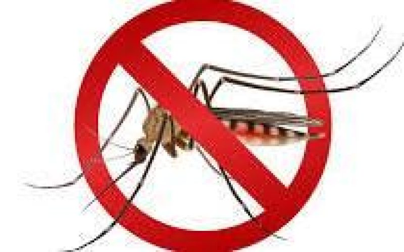 Dengue exige atenção redobrada em período de calor intenso e chuvas torrenciais