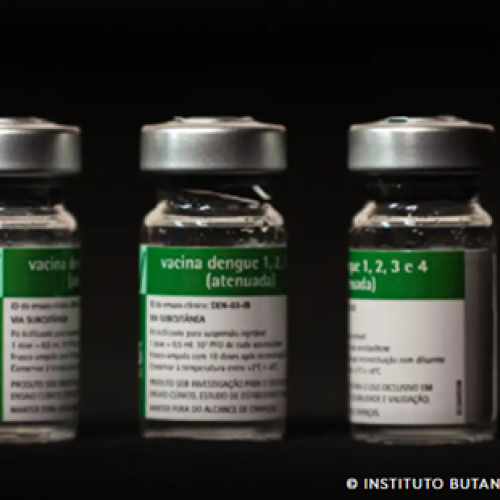 Aplicação da vacina da dengue do Butantan começará a partir do dia 17
