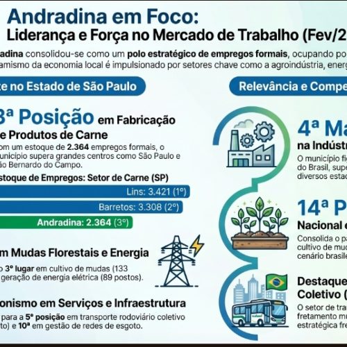 Andradina se destaca no ranking estadual e nacional de empregos formais