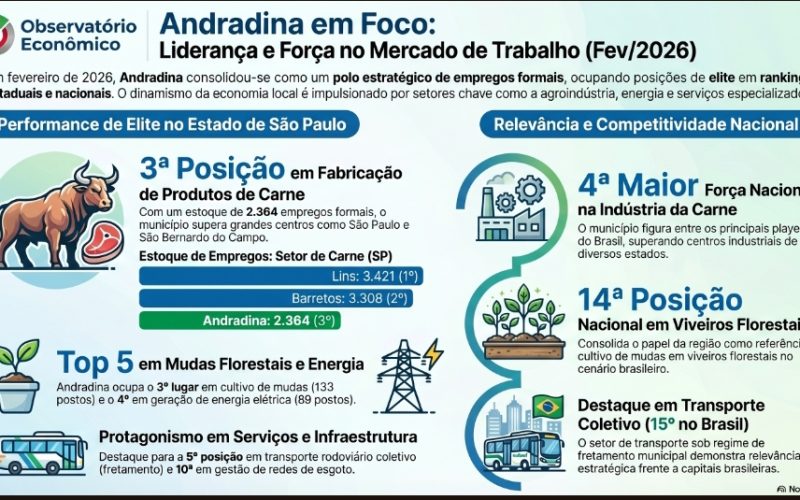 Andradina se destaca no ranking estadual e nacional de empregos formais
