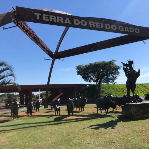 Andradina lidera com folga as exportações e a balança comercial da Região