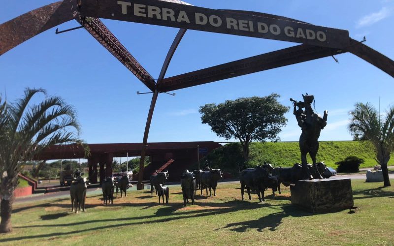 Andradina lidera com folga as exportações e a balança comercial da Região