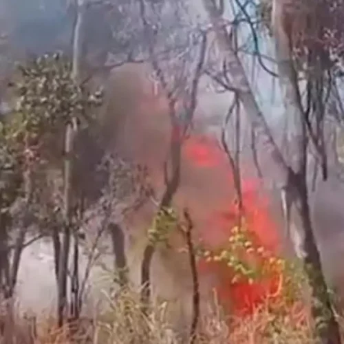 Incêndios se espalham no interior e interditam rodovias