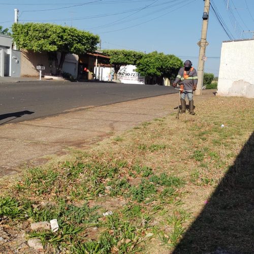 Prefeitura de Andradina intensifica limpeza de mato em áreas públicas