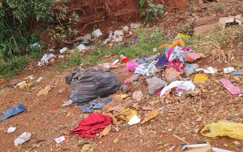 Lixo doméstico em local inapropriado continua sendo desafio para Saúde de Castilho