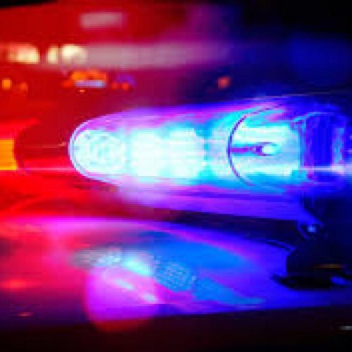 Mulher é presa por maus-tratos a cachorro em Araçatuba