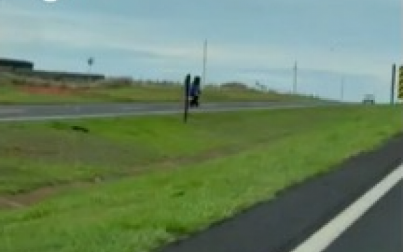 Mulher percorre 15 km na contramão e é presa por embriaguez