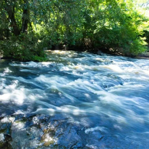 Castilho cria Parque Municipal da Cachoeirinha