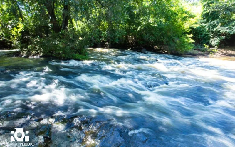 Castilho cria Parque Municipal da Cachoeirinha