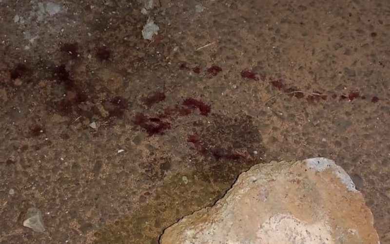 Filho é preso após agredir o pai com pedra de concreto