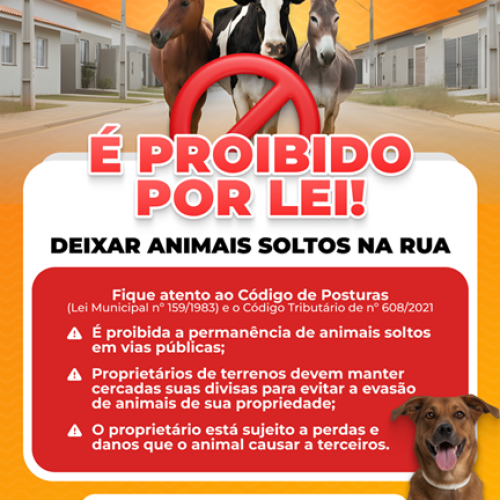 Prefeitura de Pereira Barreto alerta população sobre Leis e Penalidades a respeito do Abandono de Animais