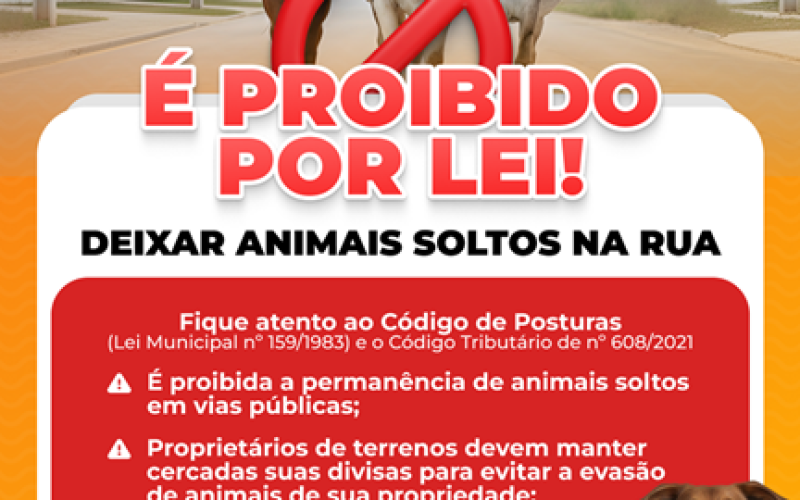 Prefeitura de Pereira Barreto alerta população sobre Leis e Penalidades a respeito do Abandono de Animais
