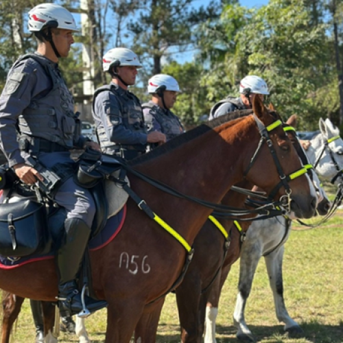Cavalaria da PM vai estar no Desfile de Aniversário de Andradina