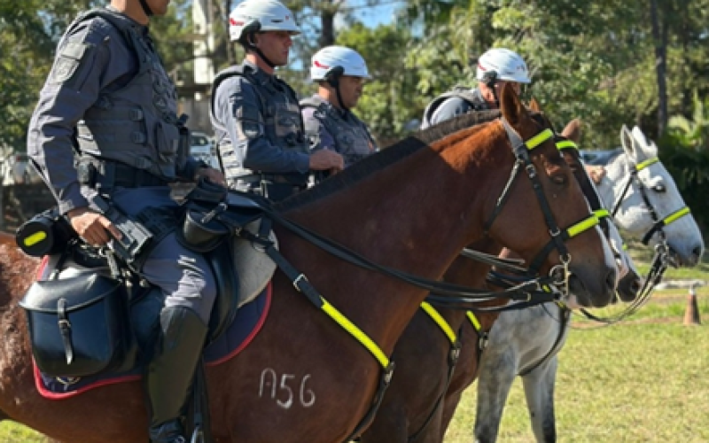Cavalaria da PM vai estar no Desfile de Aniversário de Andradina