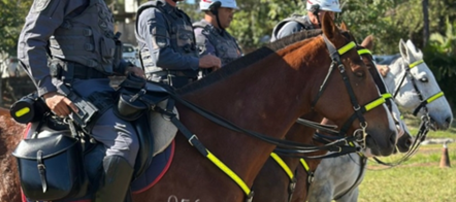 Cavalaria da PM vai estar no Desfile de Aniversário de Andradina