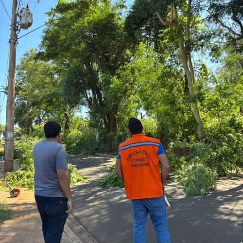 Defesa Civil realiza poda preventiva de árvores no bairro São João