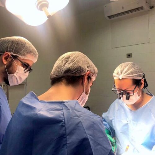 Em dez anos, Santa Casa de Araçatuba captou 356 órgãos transplantados