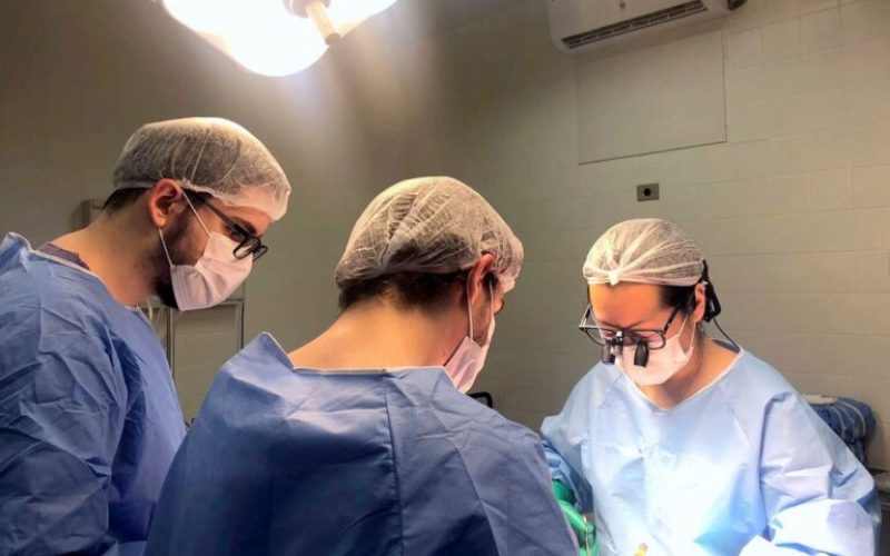 Em dez anos, Santa Casa de Araçatuba captou 356 órgãos transplantados