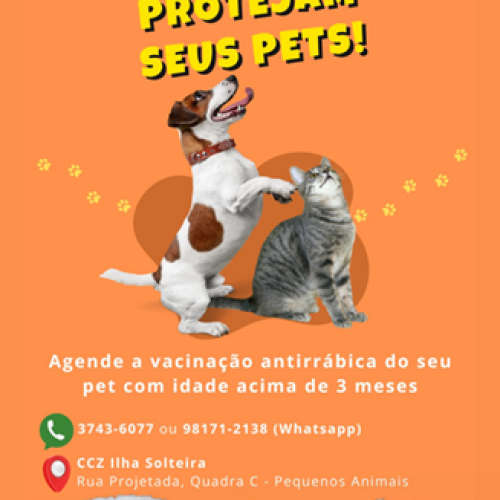 Ilha Solteira promove agendamento para vacinação antirrábica de cães e gatos