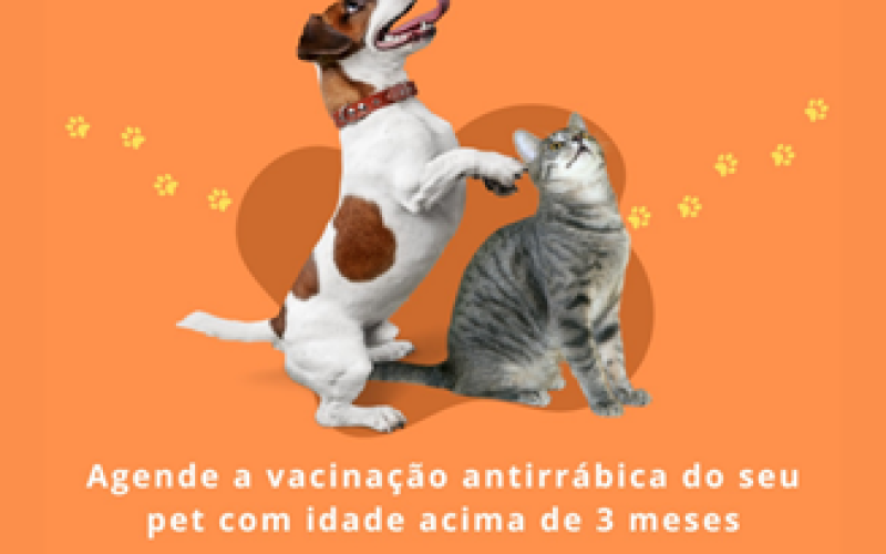 Ilha Solteira promove agendamento para vacinação antirrábica de cães e gatos